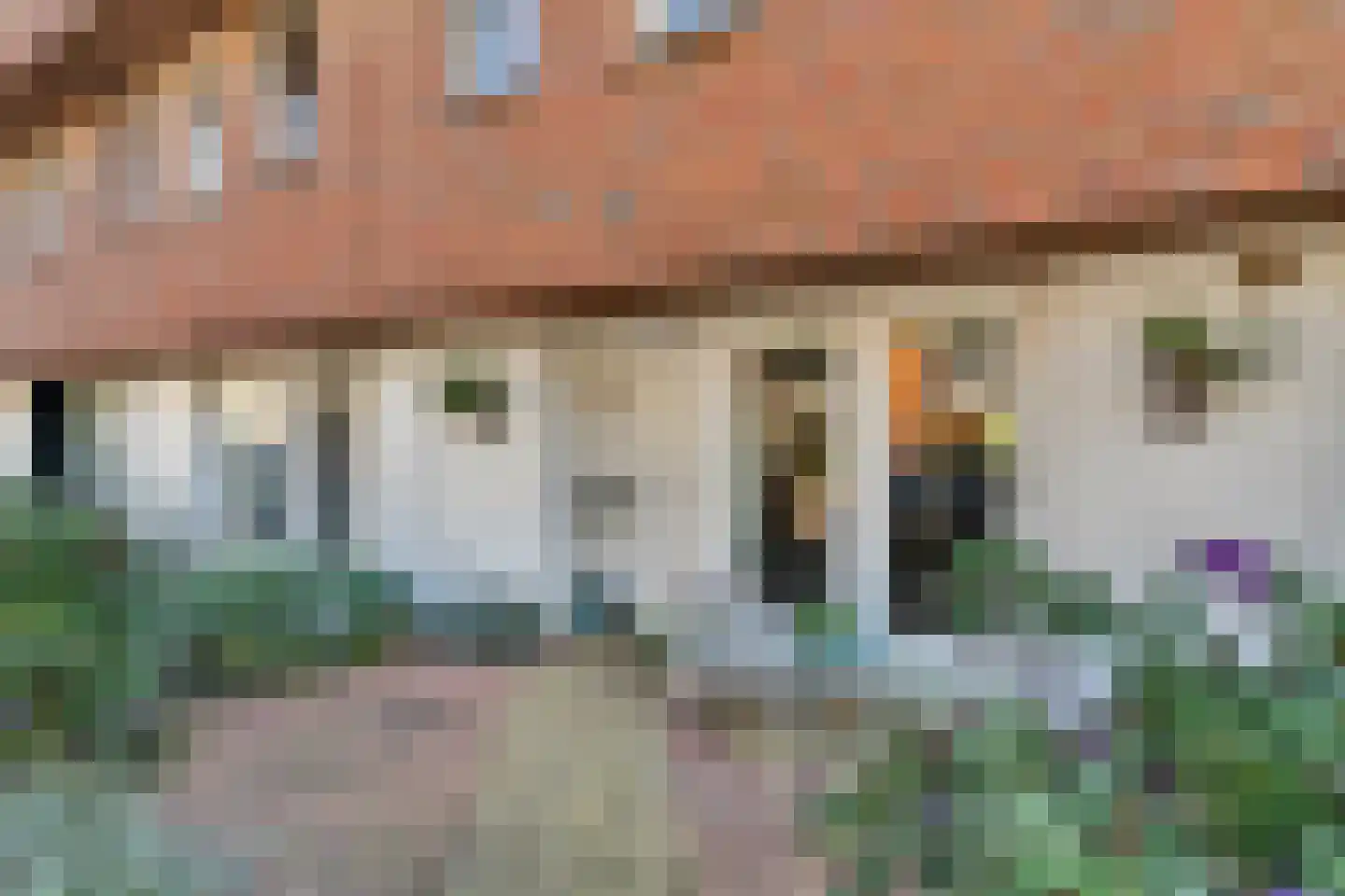 Smientstraat 16 Den Haag thumbnail 8