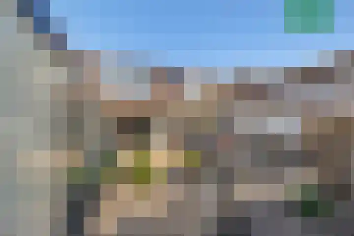 Smientstraat 24 in Den Haag