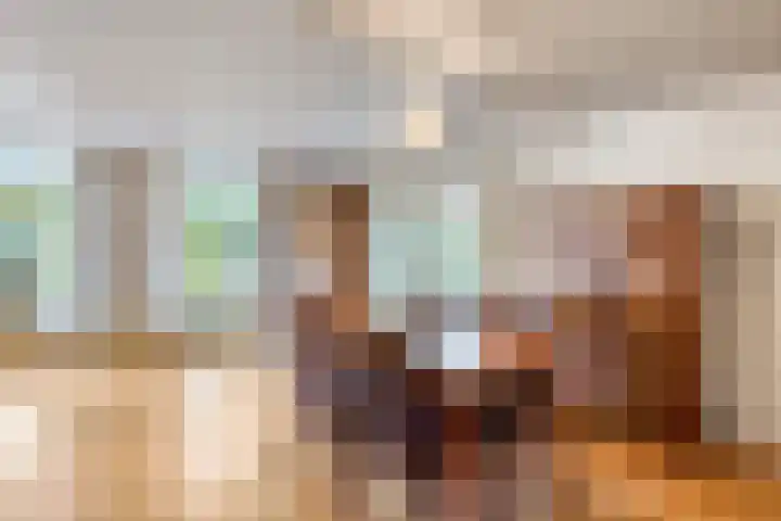Smientstraat 3 Heinkenszand thumbnail 12