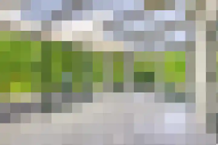 Smientstraat 3 Heinkenszand thumbnail 15