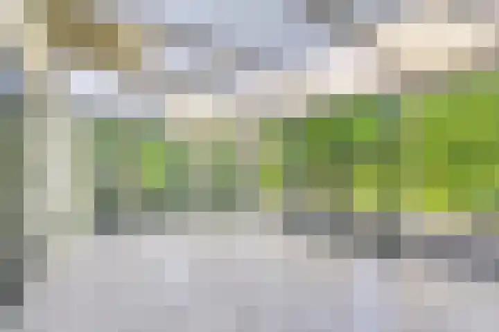 Smientstraat 3 Heinkenszand thumbnail 16