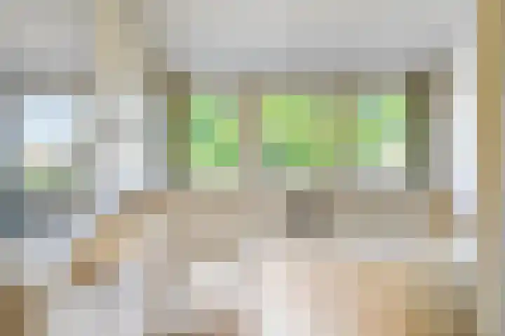 Smientstraat 3 Heinkenszand thumbnail 26