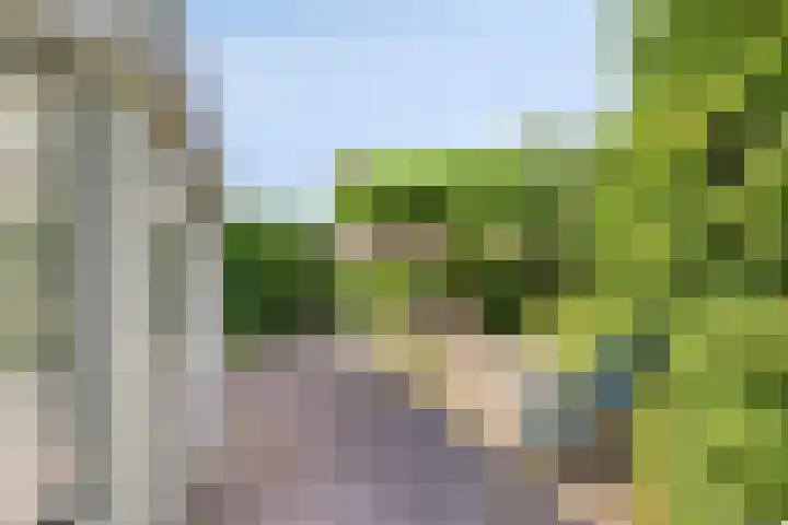Smientstraat 3 Heinkenszand thumbnail 34