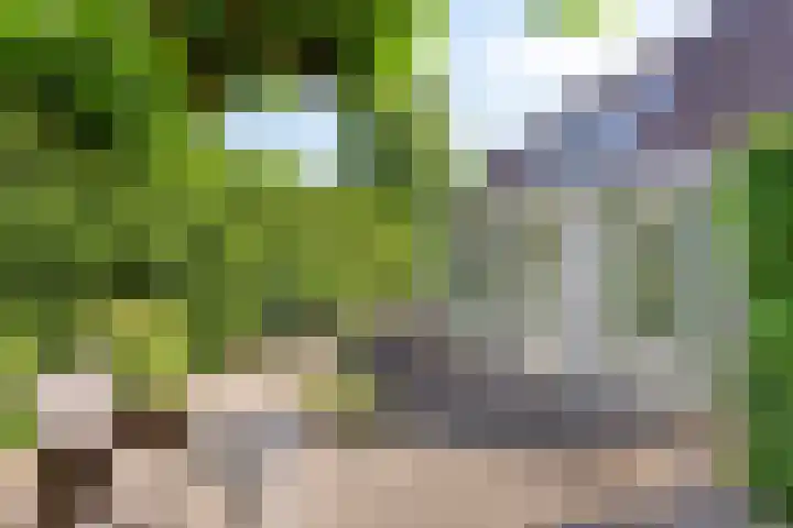 Smientstraat 3 Heinkenszand thumbnail 35
