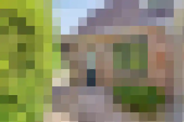 Smientstraat 3 Heinkenszand thumbnail 36