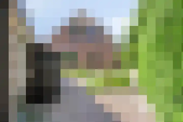 Smientstraat 3 Heinkenszand thumbnail 38