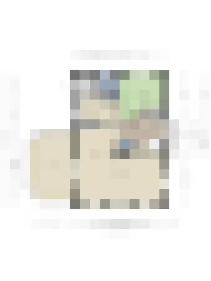 Smientstraat 3 Heinkenszand thumbnail 39