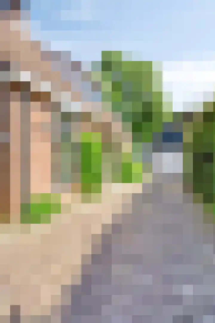 Smientstraat 3 Heinkenszand thumbnail 4