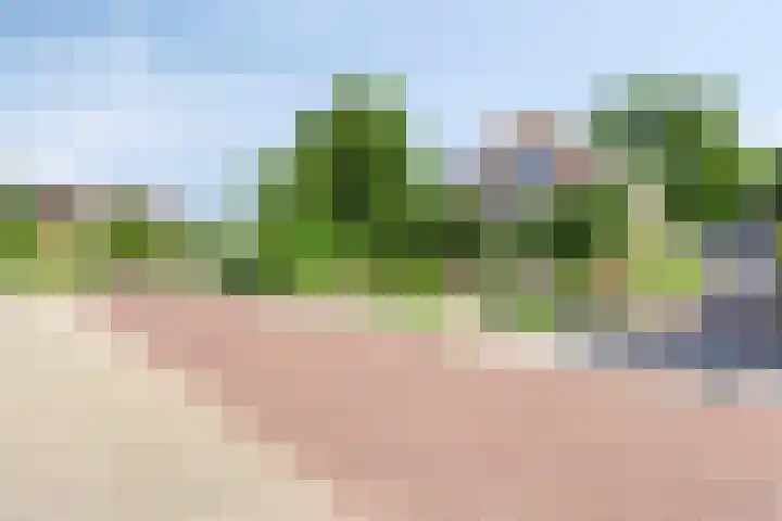 Smientstraat 3 Heinkenszand thumbnail 42