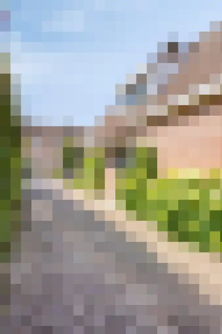 Smientstraat 3 Heinkenszand thumbnail 5