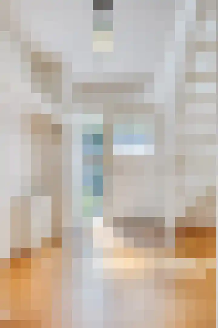 Smientstraat 3 Heinkenszand thumbnail 6