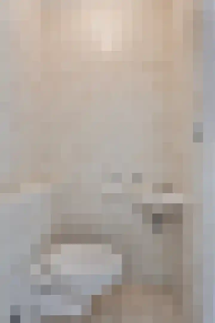 Smientstraat 3 Heinkenszand thumbnail 7