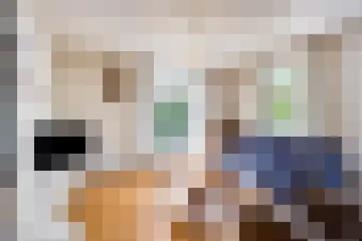 Smientstraat 3 Heinkenszand thumbnail 8