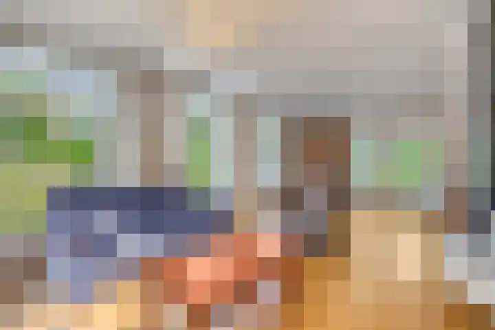 Smientstraat 3 Heinkenszand thumbnail 9