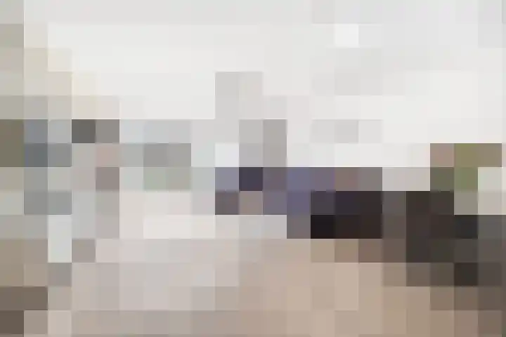 Smientstraat 48 Den Haag