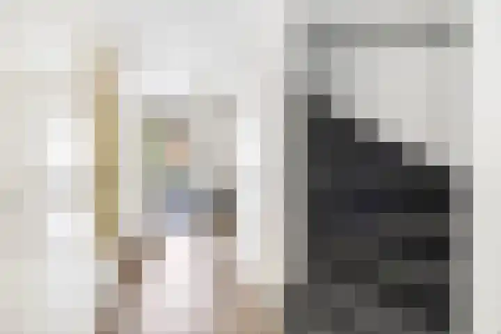 Smientstraat 48 Den Haag thumbnail 10