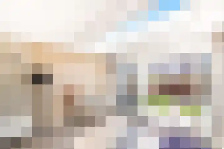 Smientstraat 48 Den Haag thumbnail 12