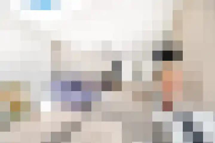 Smientstraat 48 Den Haag thumbnail 13