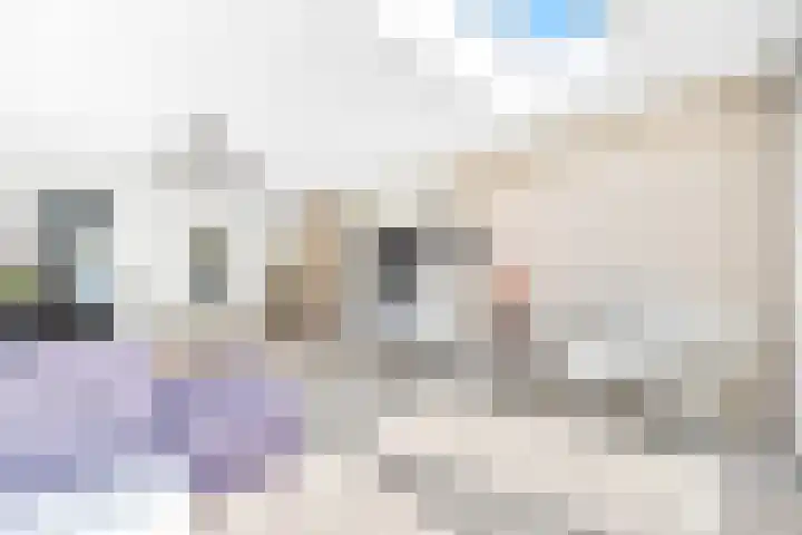 Smientstraat 48 Den Haag thumbnail 15