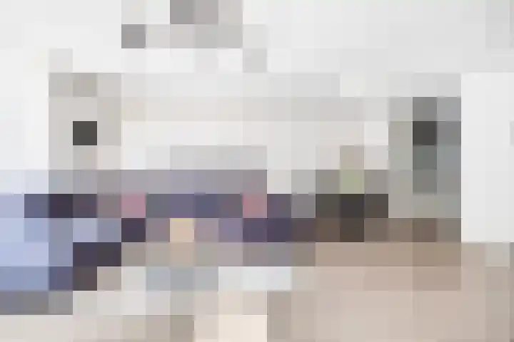 Smientstraat 48 Den Haag thumbnail 16