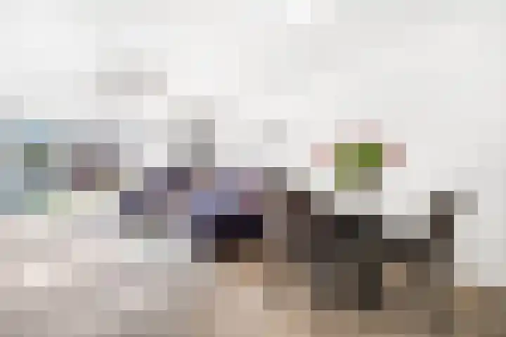 Smientstraat 48 Den Haag thumbnail 17