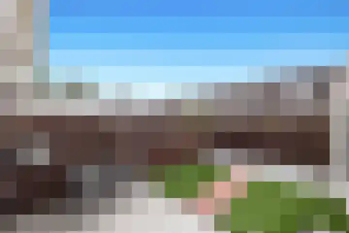 Smientstraat 48 Den Haag thumbnail 18