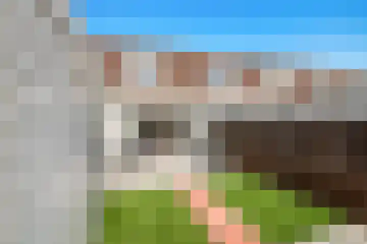 Smientstraat 48 Den Haag foto 2