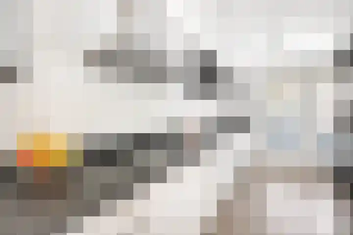 Smientstraat 48 Den Haag thumbnail 20