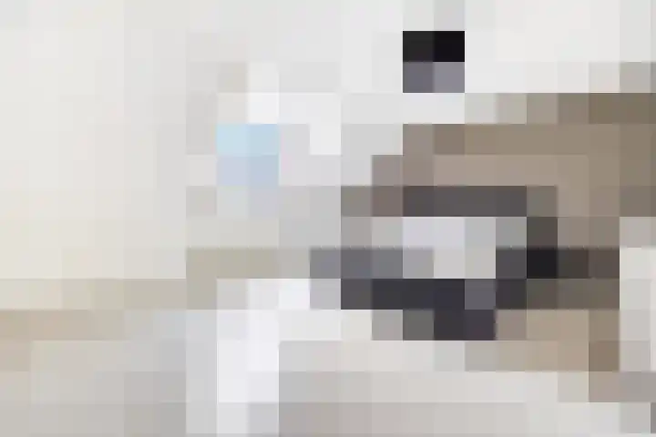 Smientstraat 48 Den Haag thumbnail 23