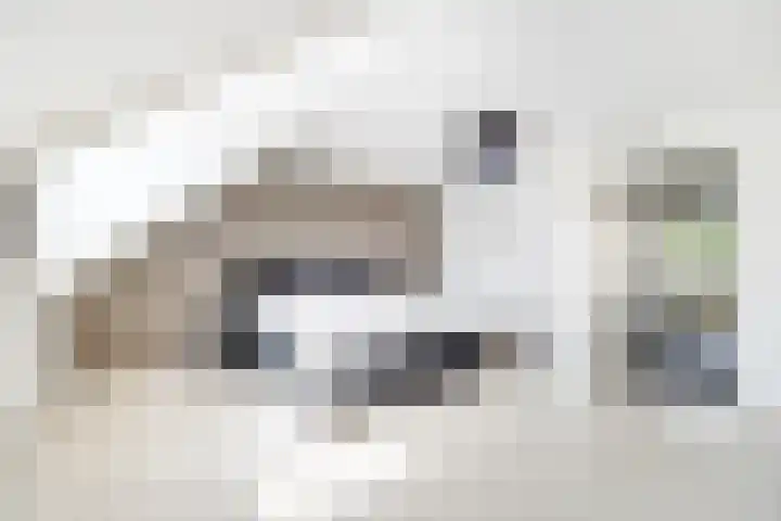 Smientstraat 48 Den Haag thumbnail 24