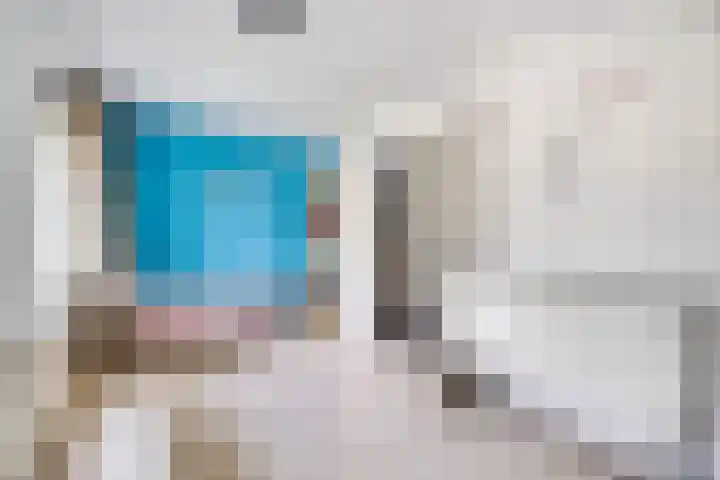 Smientstraat 48 Den Haag thumbnail 25