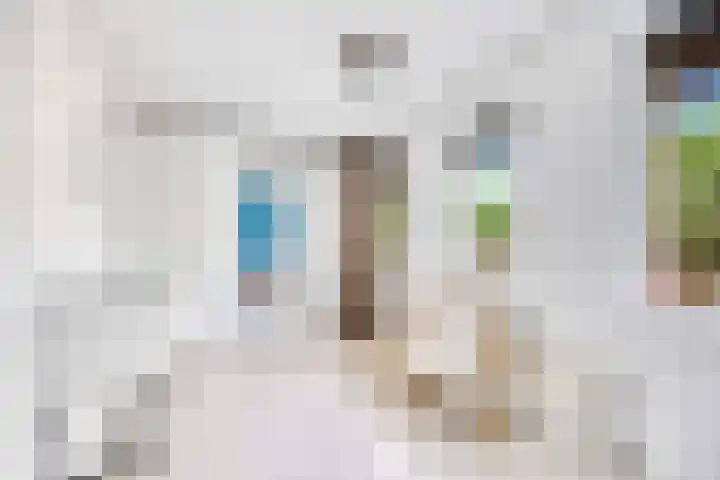 Smientstraat 48 Den Haag thumbnail 26