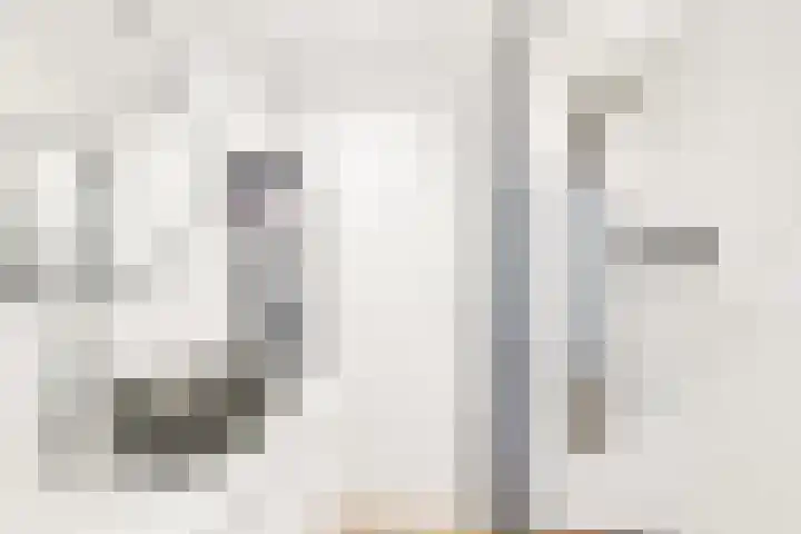 Smientstraat 48 Den Haag thumbnail 27