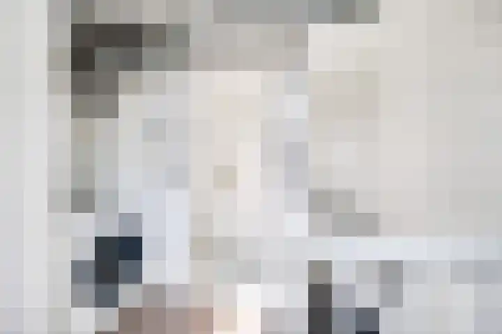 Smientstraat 48 Den Haag thumbnail 29