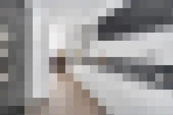 Smientstraat 48 Den Haag foto 3