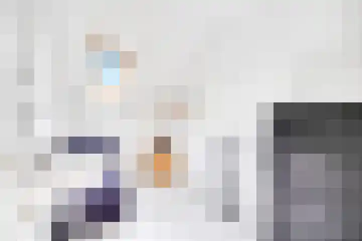 Smientstraat 48 Den Haag thumbnail 31