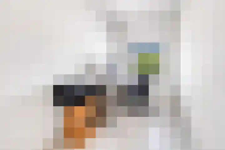 Smientstraat 48 Den Haag thumbnail 33