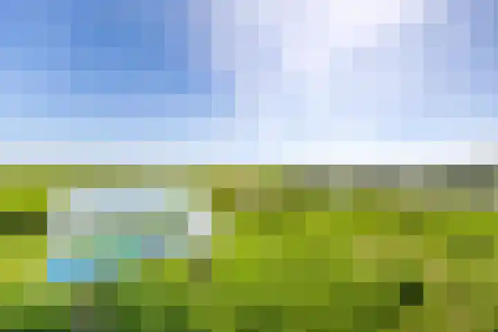 Smientstraat 48 Den Haag thumbnail 37