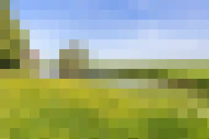 Smientstraat 48 Den Haag thumbnail 39