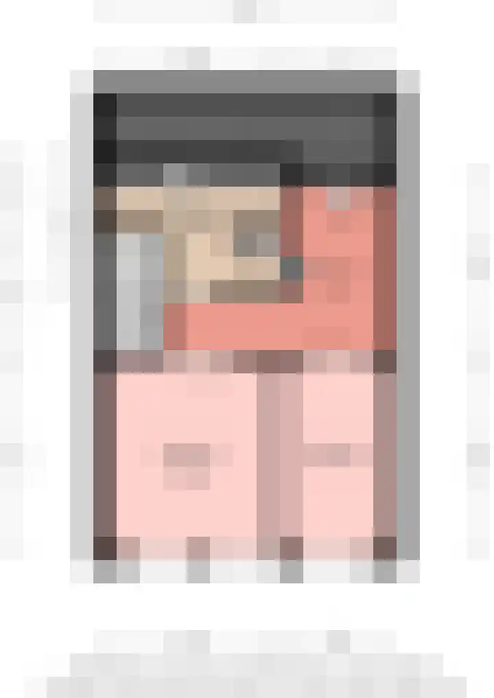 Smientstraat 48 Den Haag thumbnail 42