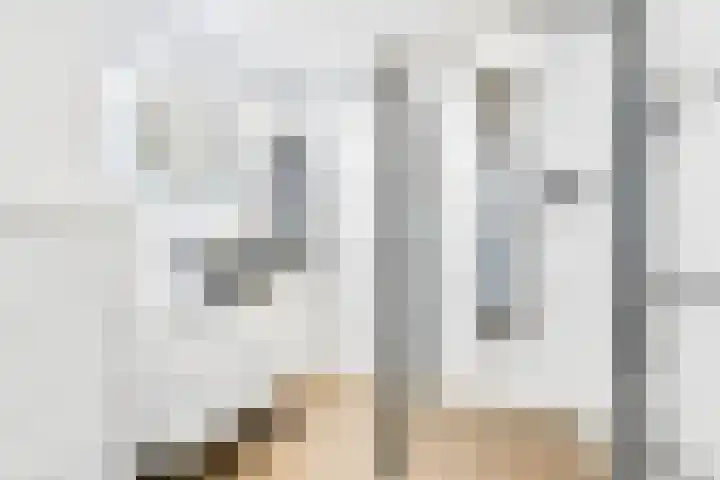 Smientstraat 48 Den Haag thumbnail 5