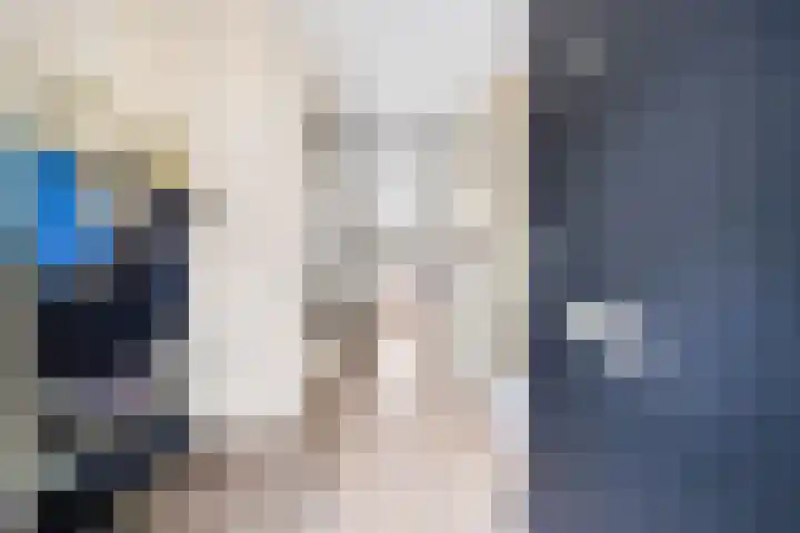 Smientstraat 48 Den Haag thumbnail 8