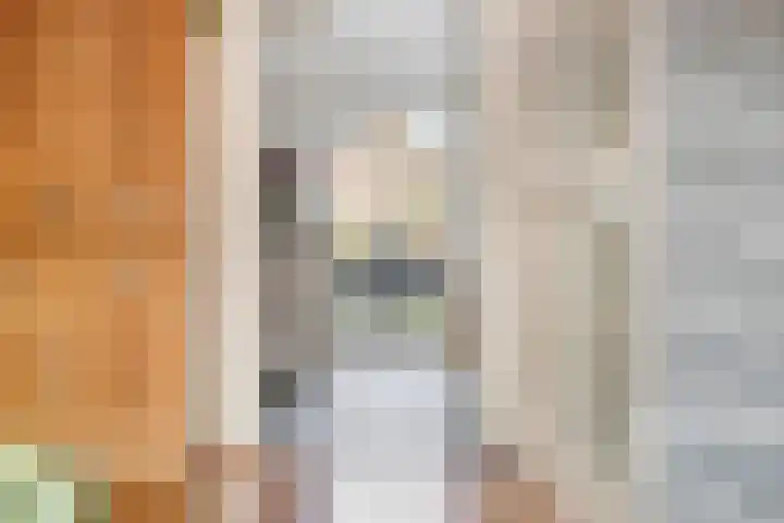 Smientstraat 6 Goor thumbnail 10