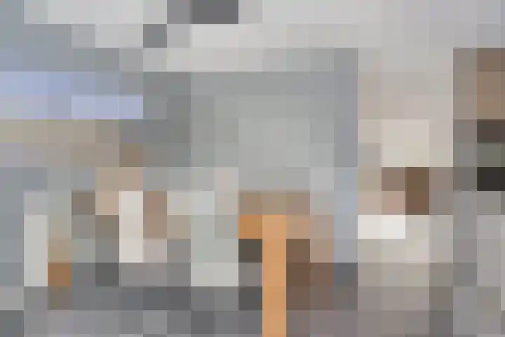 Smientstraat 6 Goor thumbnail 13
