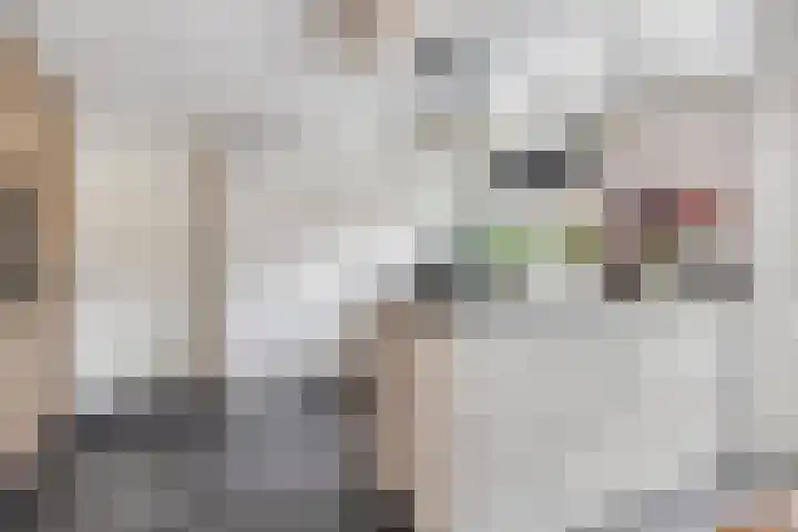 Smientstraat 6 Goor thumbnail 14
