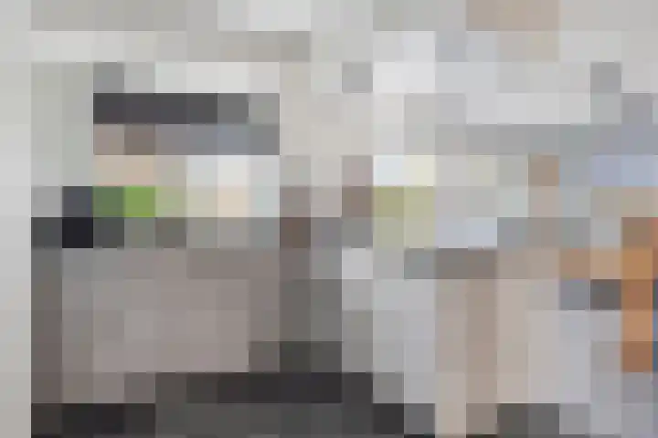 Smientstraat 6 Goor thumbnail 15
