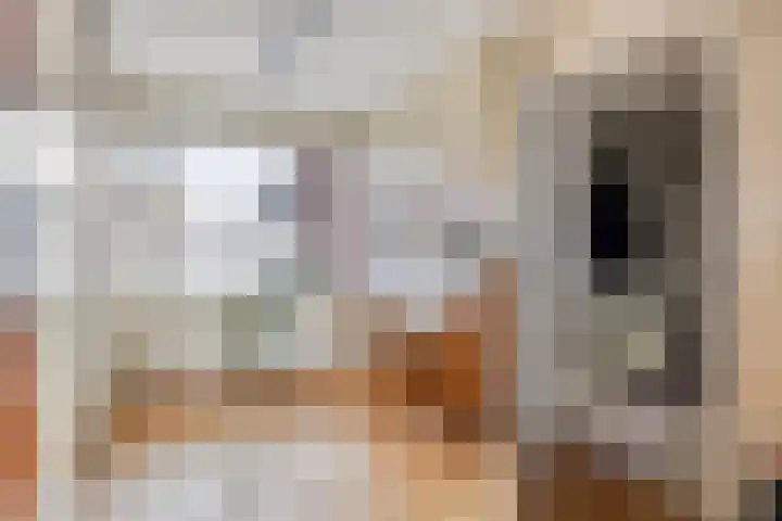 Smientstraat 6 Goor thumbnail 20
