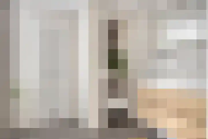 Smientstraat 6 Goor thumbnail 27
