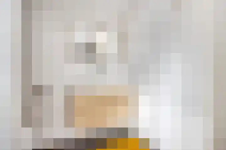Smientstraat 6 Goor thumbnail 28