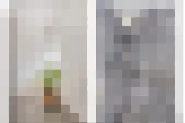 Smientstraat 6 Goor thumbnail 29